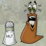 Slug_vs_Salt_by_Wolfgangmustdie